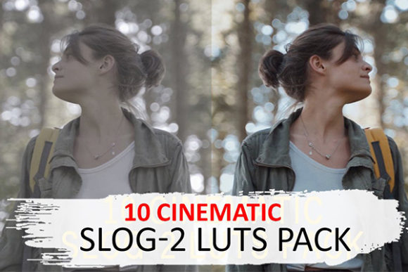 Download 10 Cinematic Slog-2 Luts - Cinematic Collection
